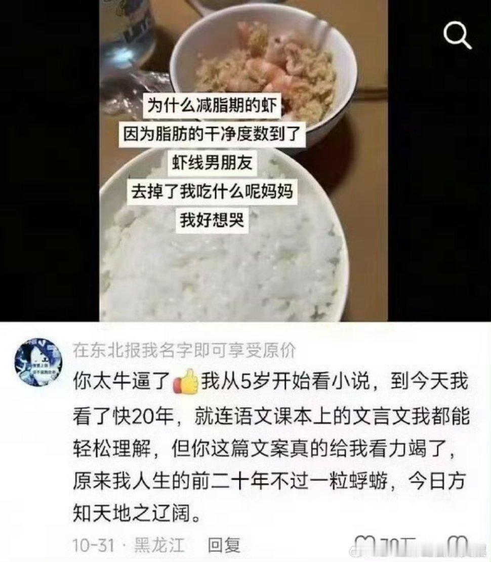 我看不懂她在说什么