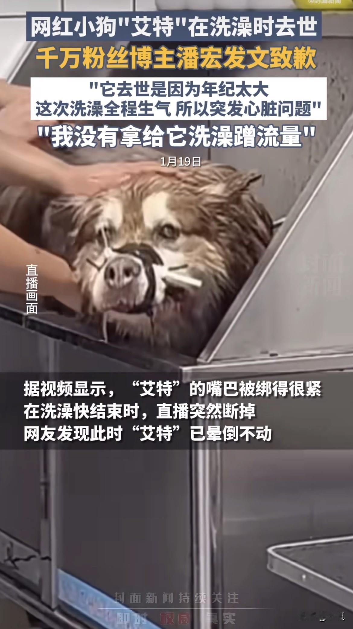 潘宏不会道歉的。一个千万粉训狗网红，被法院判了置顶公开道歉。钱赔了，道歉没发
