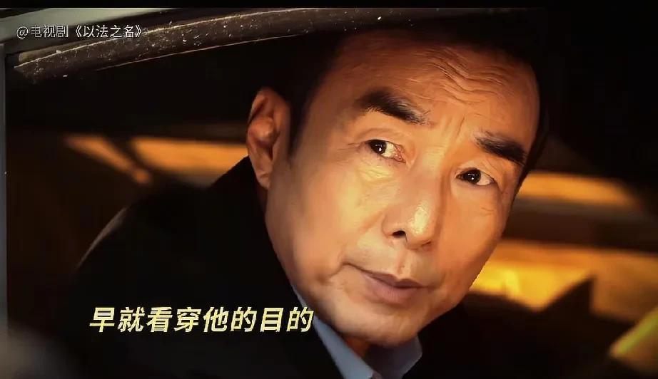 《以法之名》实锤了：洪亮老丈人就是保护伞！最新剧情里，禹天成找到江书记以江远撞