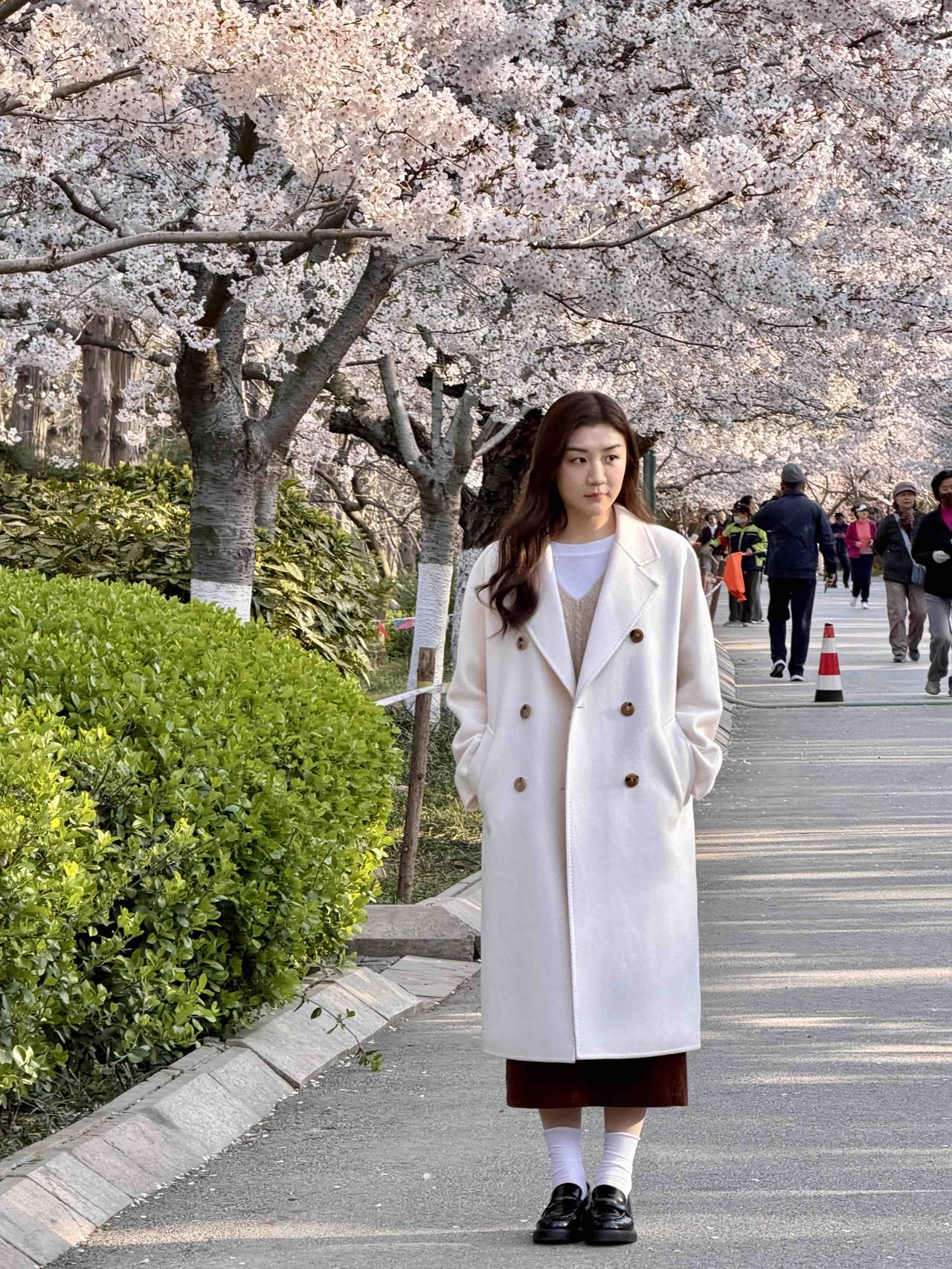 陈梦也有时间欣赏樱花，青岛偶遇，梦姐好文艺，小时候的中山公园照真的很美！偶遇陈