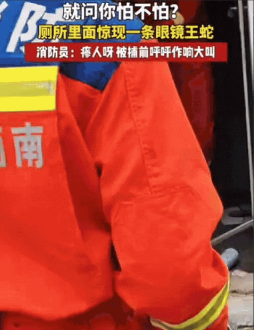 吓得一激灵！”贵州，男子去厕所，突然听到角落有动静，他下意识回头一看，吓得提起裤