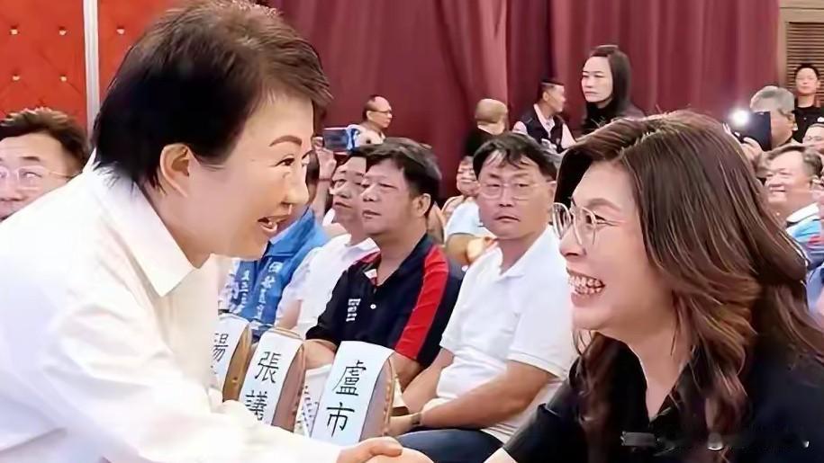 助选团人事排兵布阵，郑丽文稳稳握住指挥棒国民党这回把中央助选团搭起来了，人事安