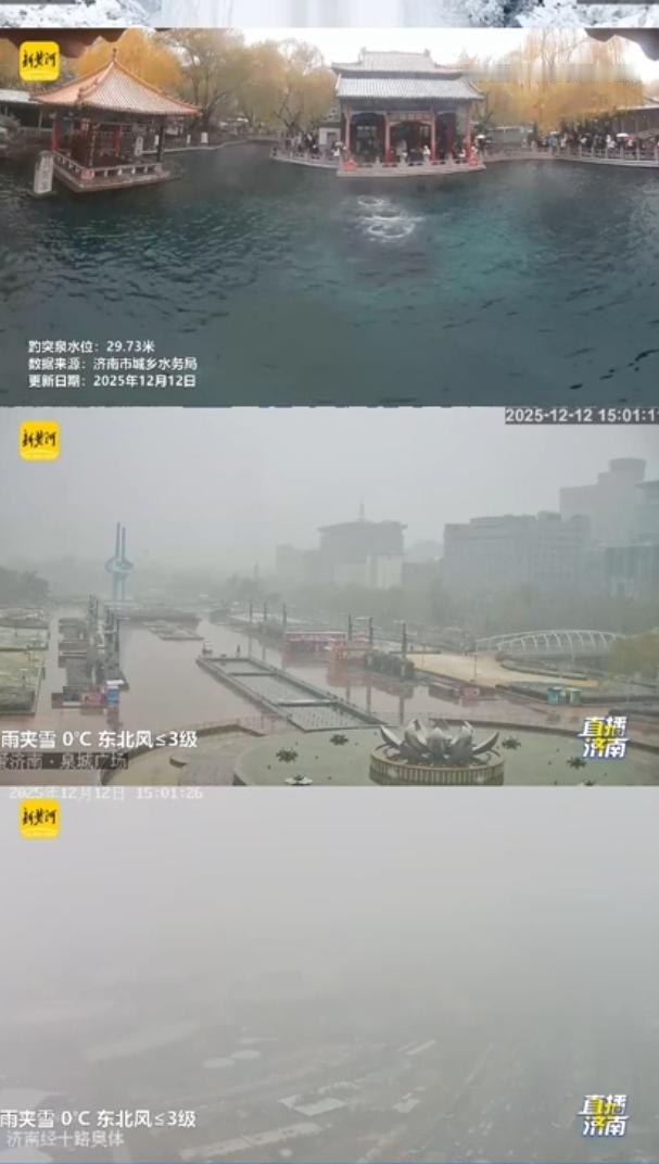 不经意间看向窗外，济南忽然下雪了。片片雪花纷纷而落，无声无息，悄然而至。想起