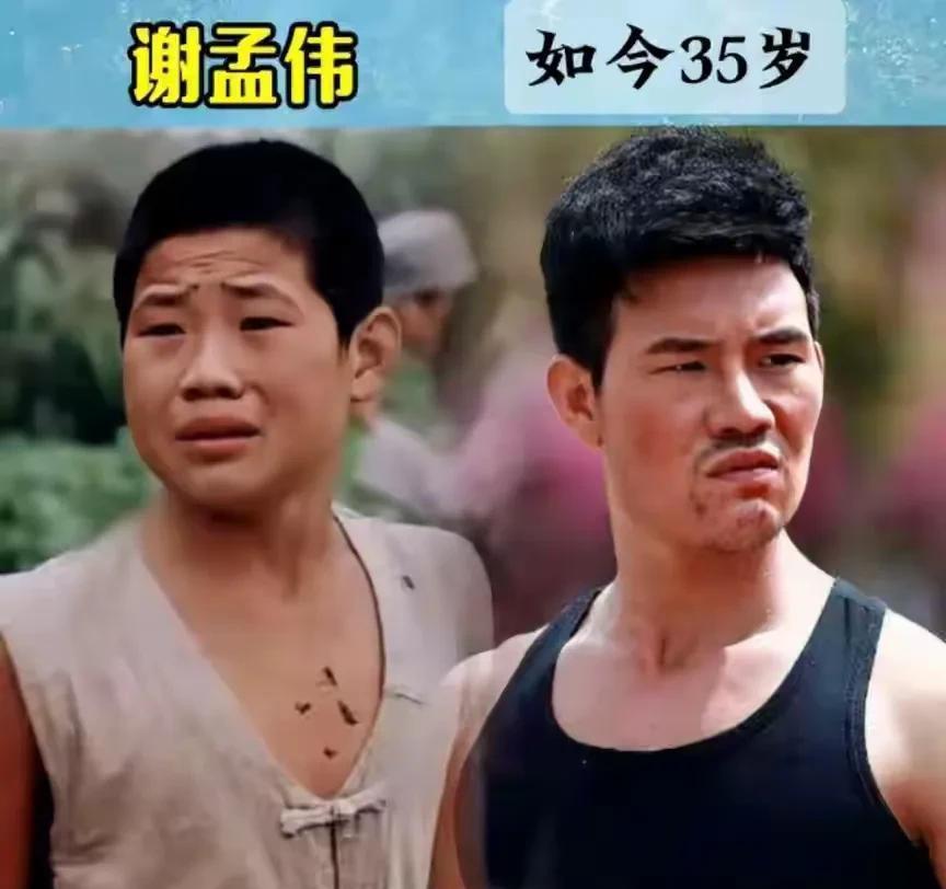 别信什么童星吃青春饭。那是外行话。真相是片场的生存战。杨紫早不是小雪。她