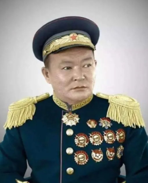 看清这个胸前挂满勋章的人，他是中华民族的罪人，就是他跟外人勾结，把外蒙古硬生生推