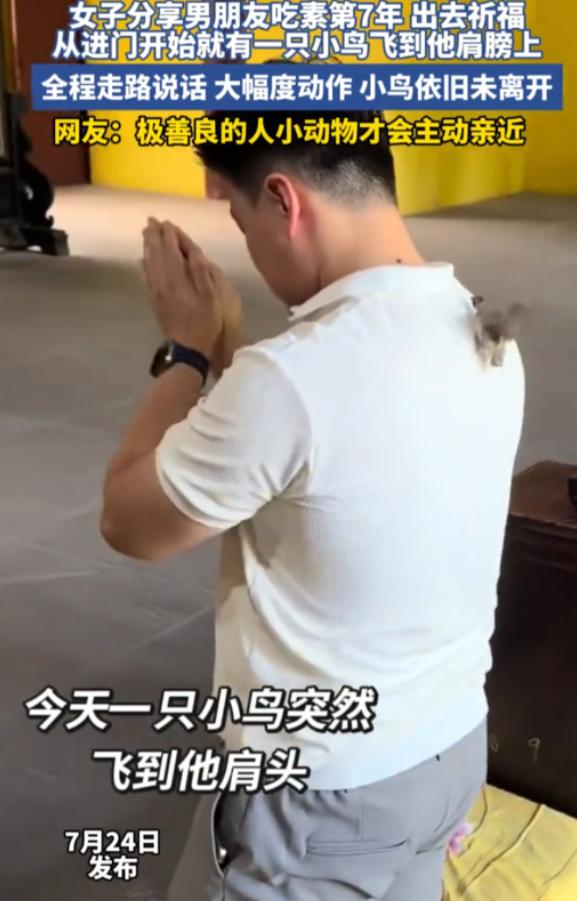 吃素七年的男人去寺庙还愿，一只鸟竟然赖在他身上不走了。这事发生在成都龙泉山的