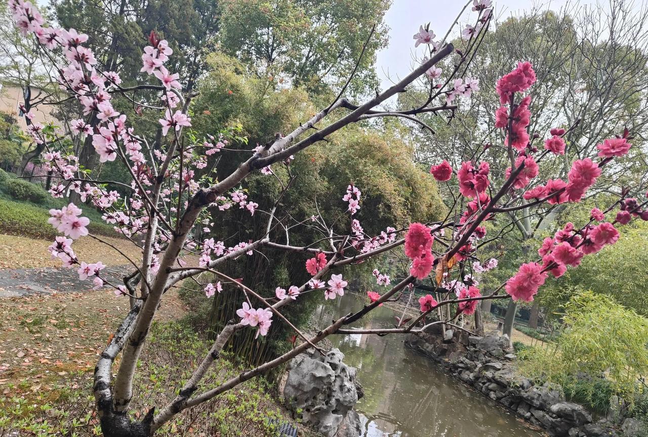 邻居家五岁的小侄子，最近不知道被谁教了句“坏词儿”，只要他姑姑一上门，这小家伙就