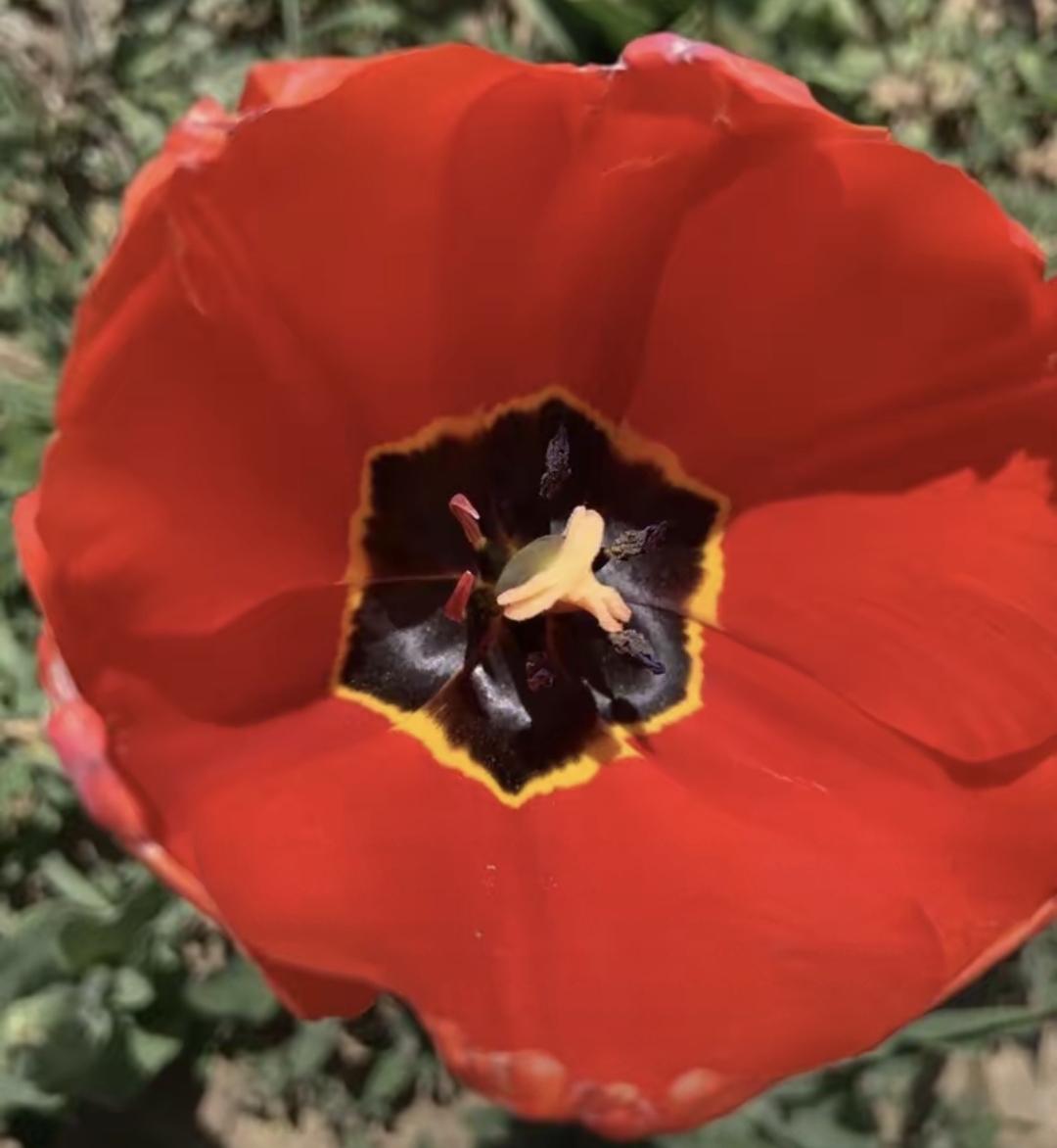 人年纪大了，嘴上说着不怕，真到自己身上，谁都不想走。我爸84岁那年走的，当时