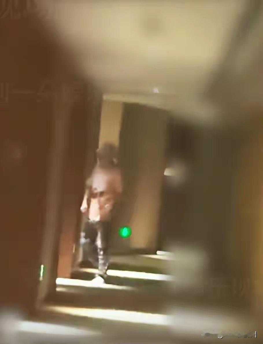 从酒店视频的这个角度来看，这个体型，还真像“包贝尔”，看女的身形……看着