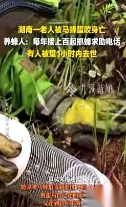 40分钟，这是生命从鲜活到沉寂的全部时间。湖南永州的一个普通上午，田野里阳光正
