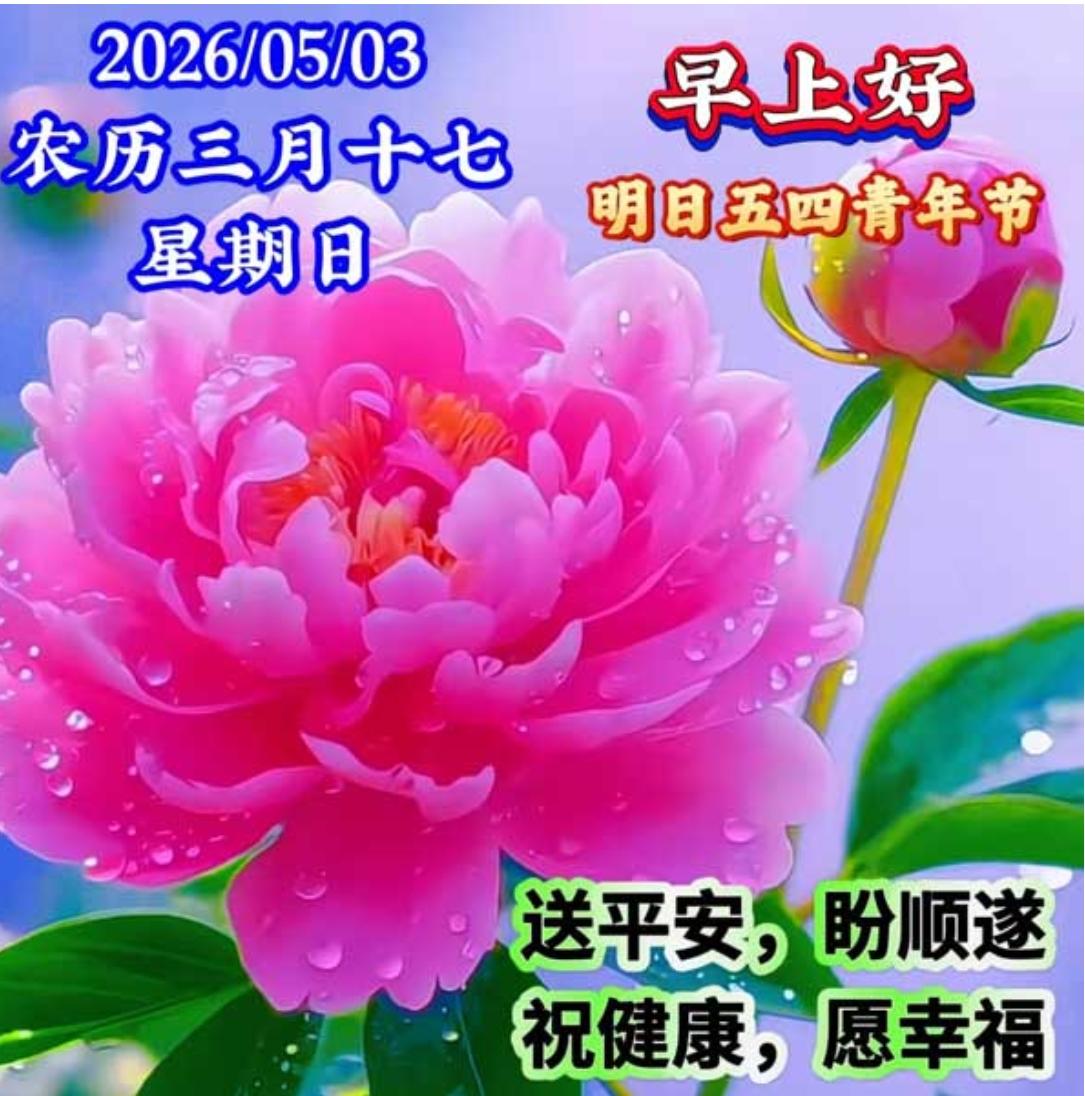 清晨问候心里暖，相互牵挂皆是缘；真心祝福天天说，幸福快乐又安康；一声早安