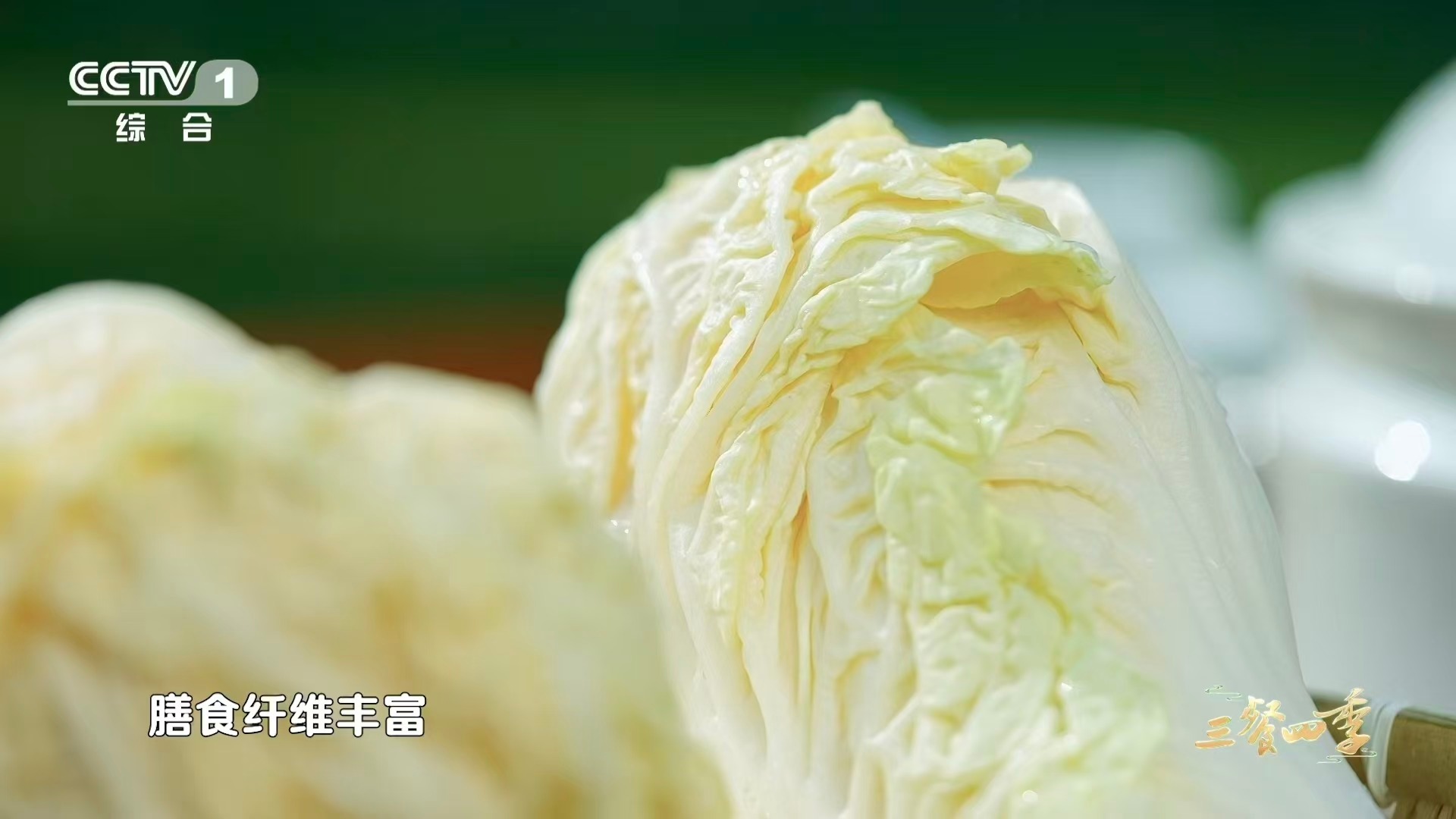 河南有种白菜甜到能当水果吃永城苗桥白菜太上头了！脆甜口感，爆汁体验，撒贝宁尝过