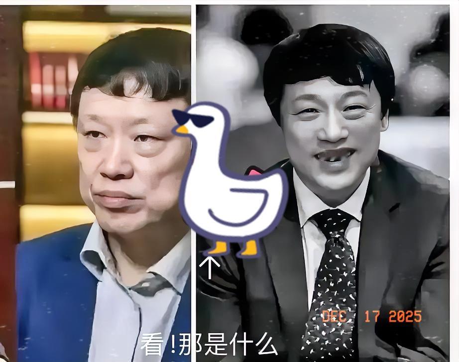 这盘大棋，越来越有意思了。一个搞自媒体的UP主“蒙主”，发视频质疑了一下西方伪