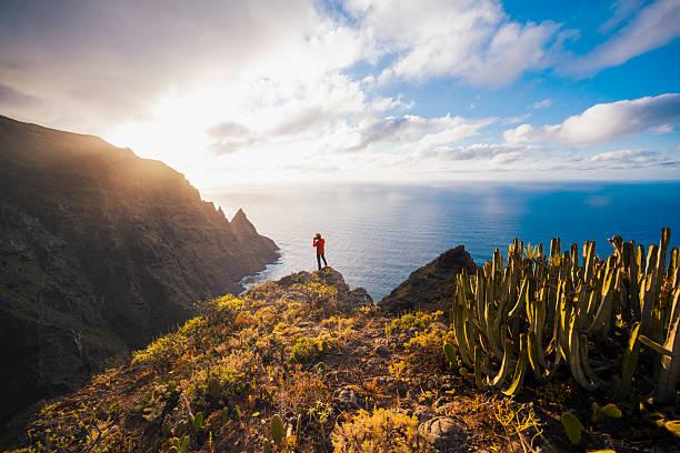 一位红学爱好者说：读懂《红楼梦》里面的探春你就明白：女人最狠的成长，是戒掉“弱