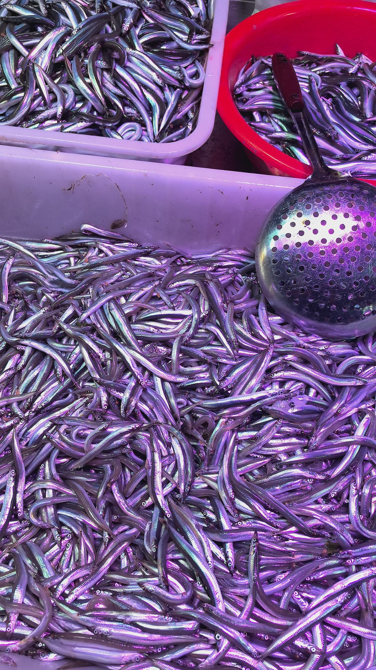 中国最贵的8大酒店：第八名：上海和平饭店，8万/天；第七名：上海柏悦酒店，9