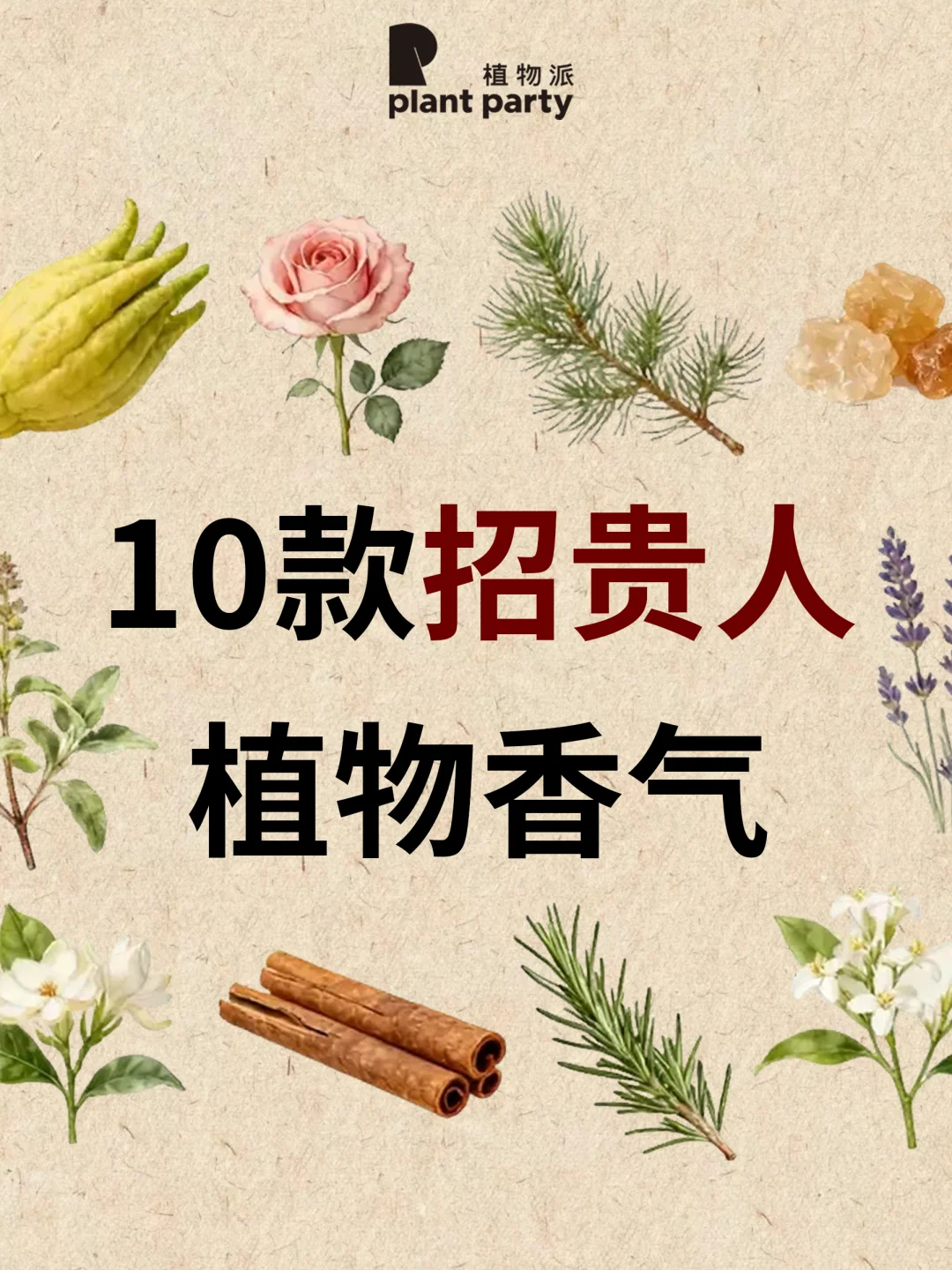 10种招贵人植物香气吸引正能量，贵人自来