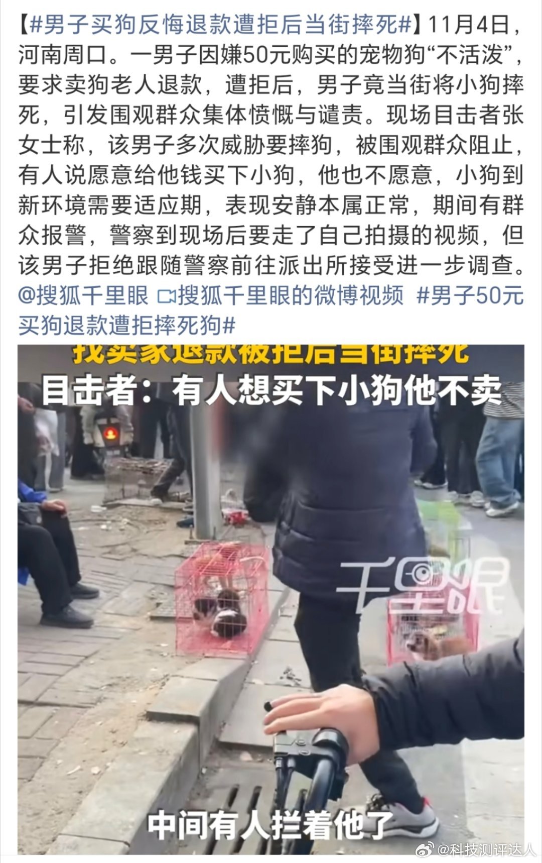 男子50元买狗退款遭拒摔死狗这种人买狗干什么[？？？]一看就不喜欢狗啊，店家不给退