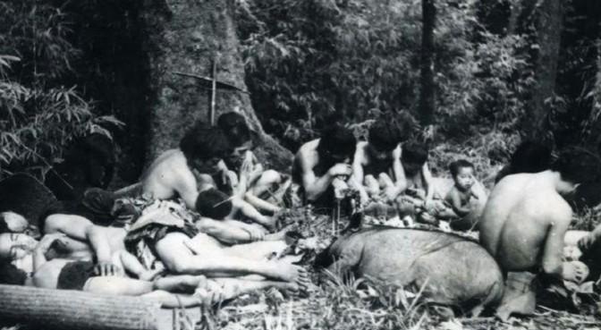 1956年，解放军在云南原始森林深处，发现一群衣不蔽体，蓬头垢面的男男女女。经过