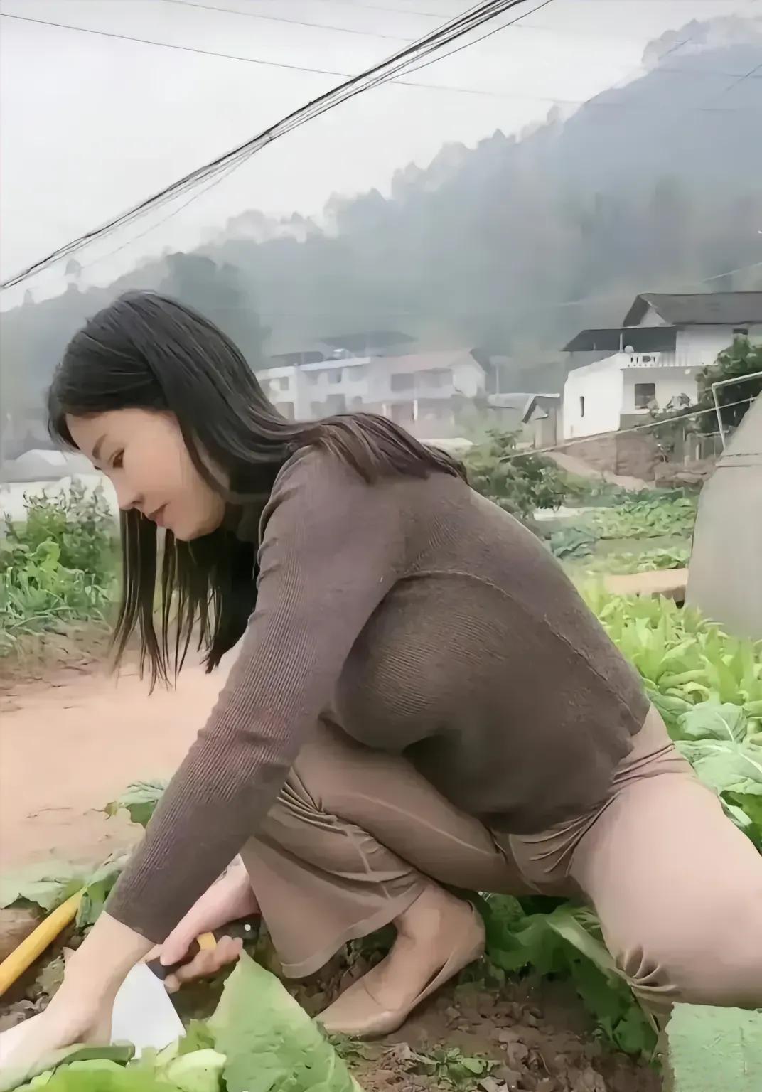 晨雾里的山村（现代诗）雾把山村抱得很紧像我这一生，不敢松开的命运菜