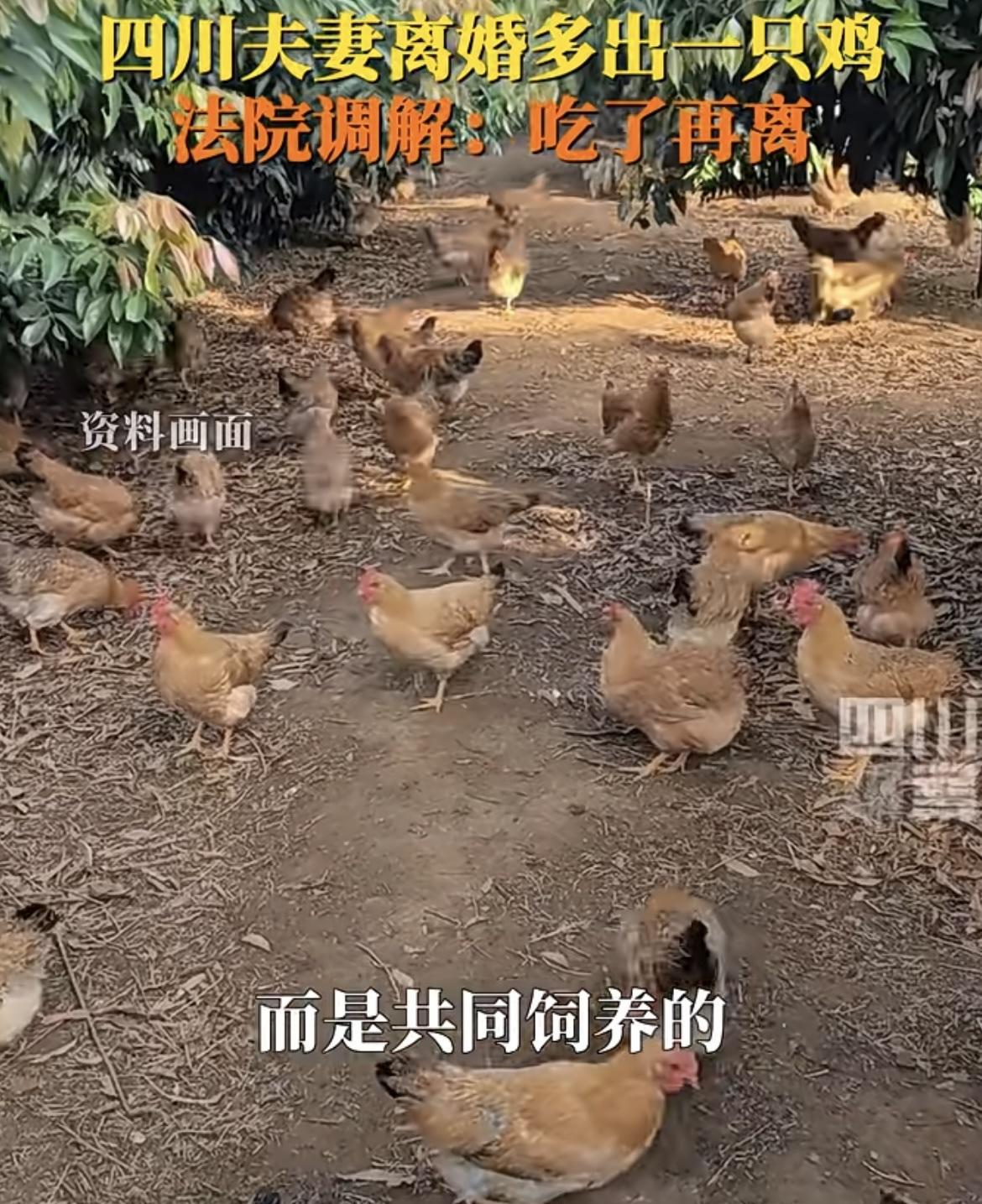 “心眼太小了！”四川，一夫妻过不下去要离婚，还因财产分配闹上法庭，可双方的矛盾点