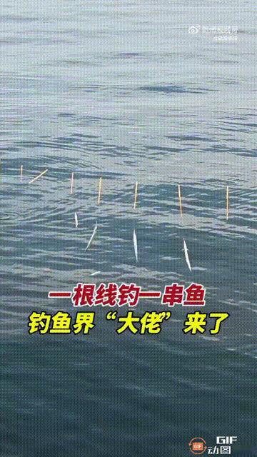 这样的钓鱼方式太厉害了！一名女子去山东威海游玩，吃完饭后和朋友到海边散步时，看见
