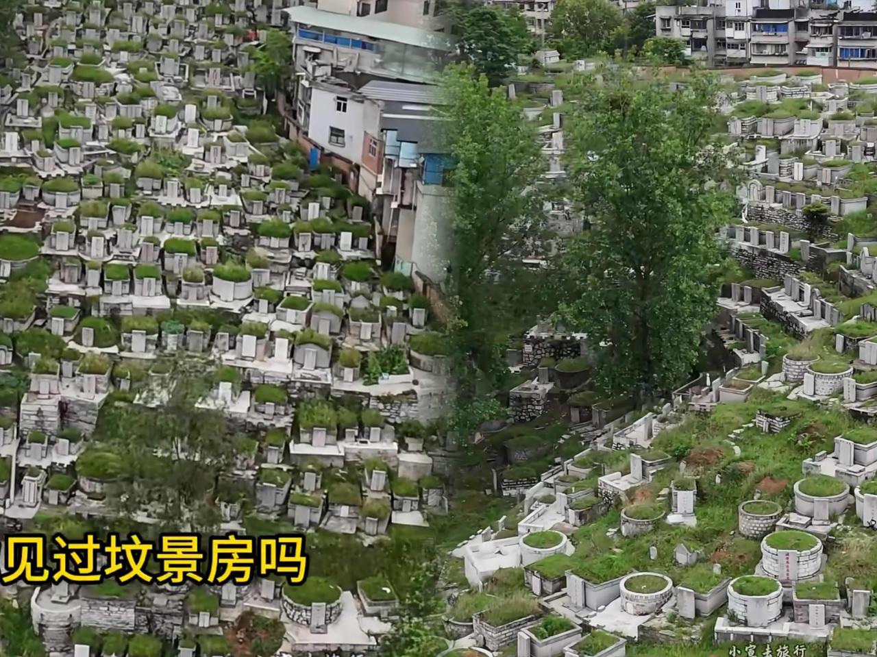 打开窗户就是墓碑群？小区旁藏着几百座坟的新闻，总算让人懂了为啥国家几十年前就
