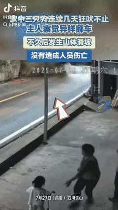 “彻底解释不清了！”四川乐山，近日，女子发觉家中的三只狗一直对着自家的那辆车狂吠