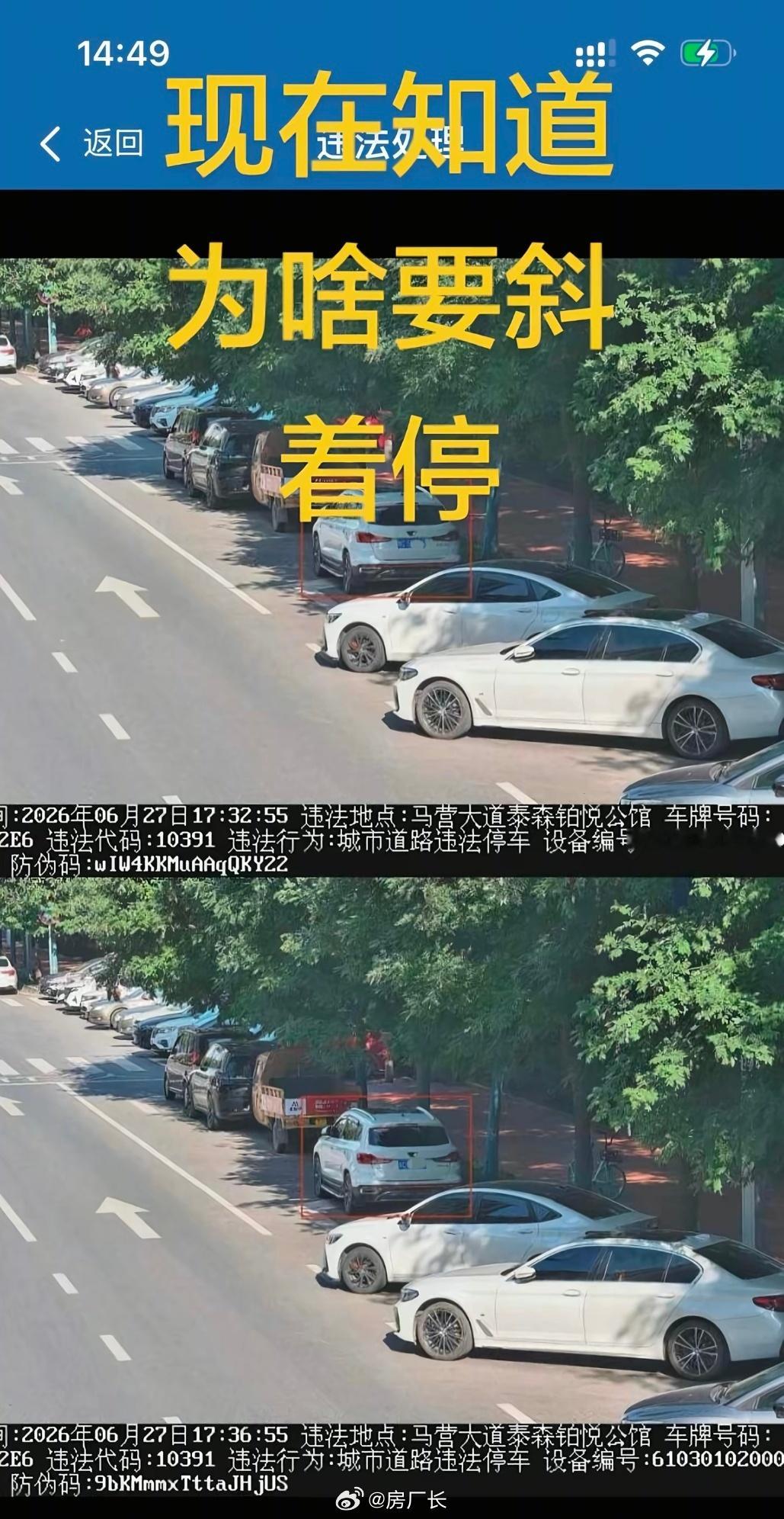 刷到这个之前，我简直是在乱停