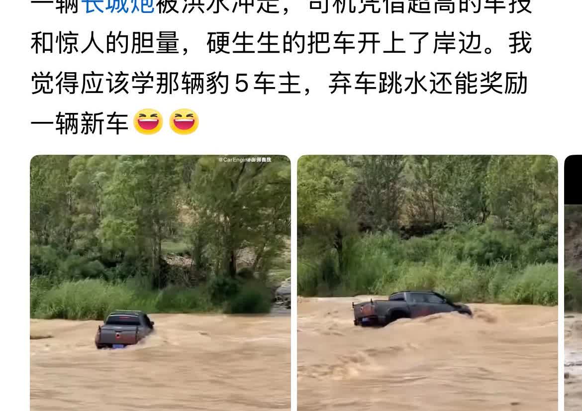 网友：“一辆炮被洪水冲了，但车主凭借超高的车技，把车开上岸了，他应该学豹5车主弃
