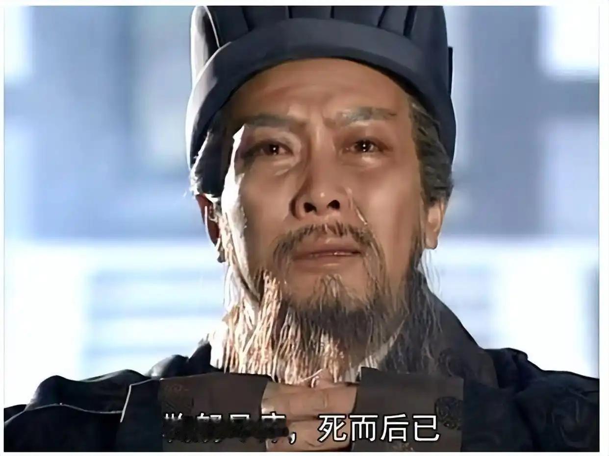 我认为诸葛亮成年人的世界里，做不了诸葛亮，也当不成曹操小时候看《三国》，大人