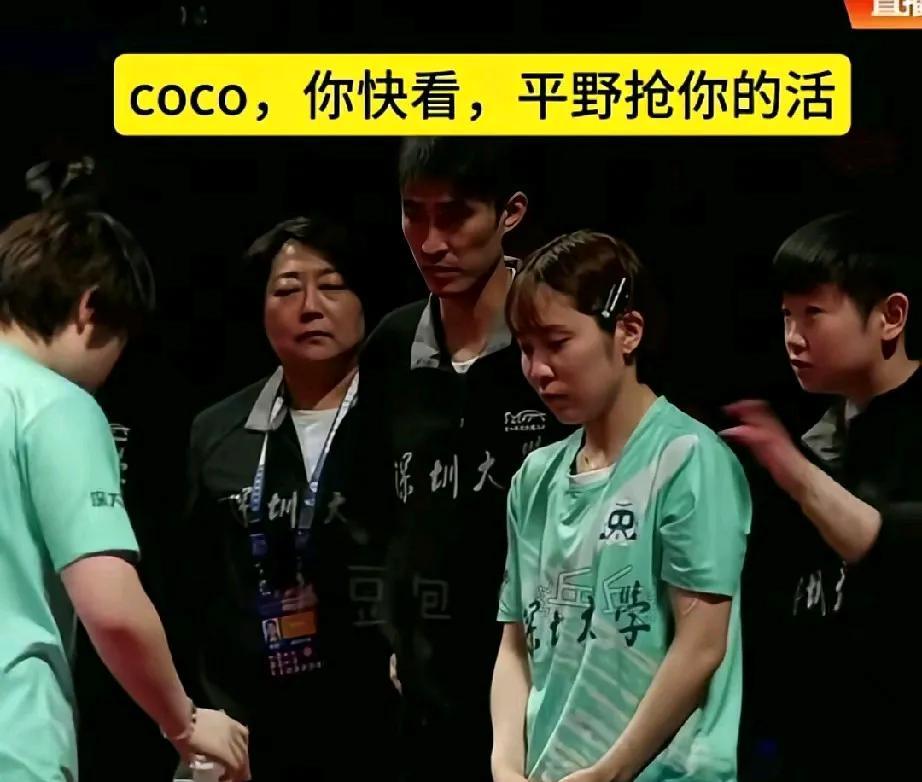 平野美宇这姑娘是真有眼力见，眼里全是活儿。难怪大家都说深大的教练省心，往那儿一站