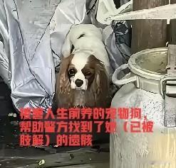 39岁选美小姐被杀害肢解，遗体被抛树林，日同居男友已畏罪潜逃7月30日，网上