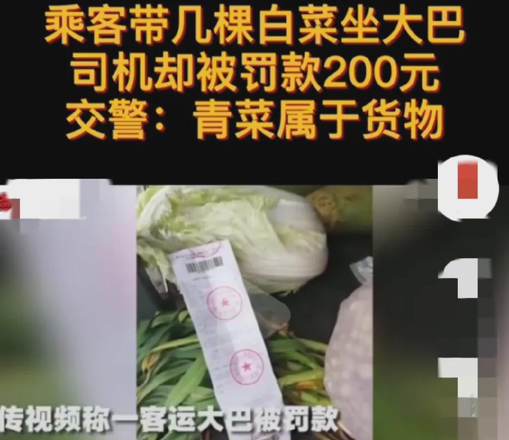 湖北荆州，某高速路口收费站，一大巴车因为行李层放置了几颗大白菜，这看起来，好像没