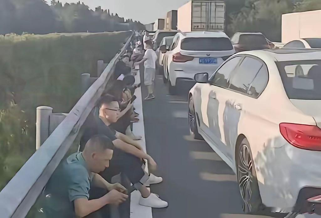 高速路上的都是卧龙凤雏，彼此预判了彼此的预判都想着提前错峰出发，30号就堵得