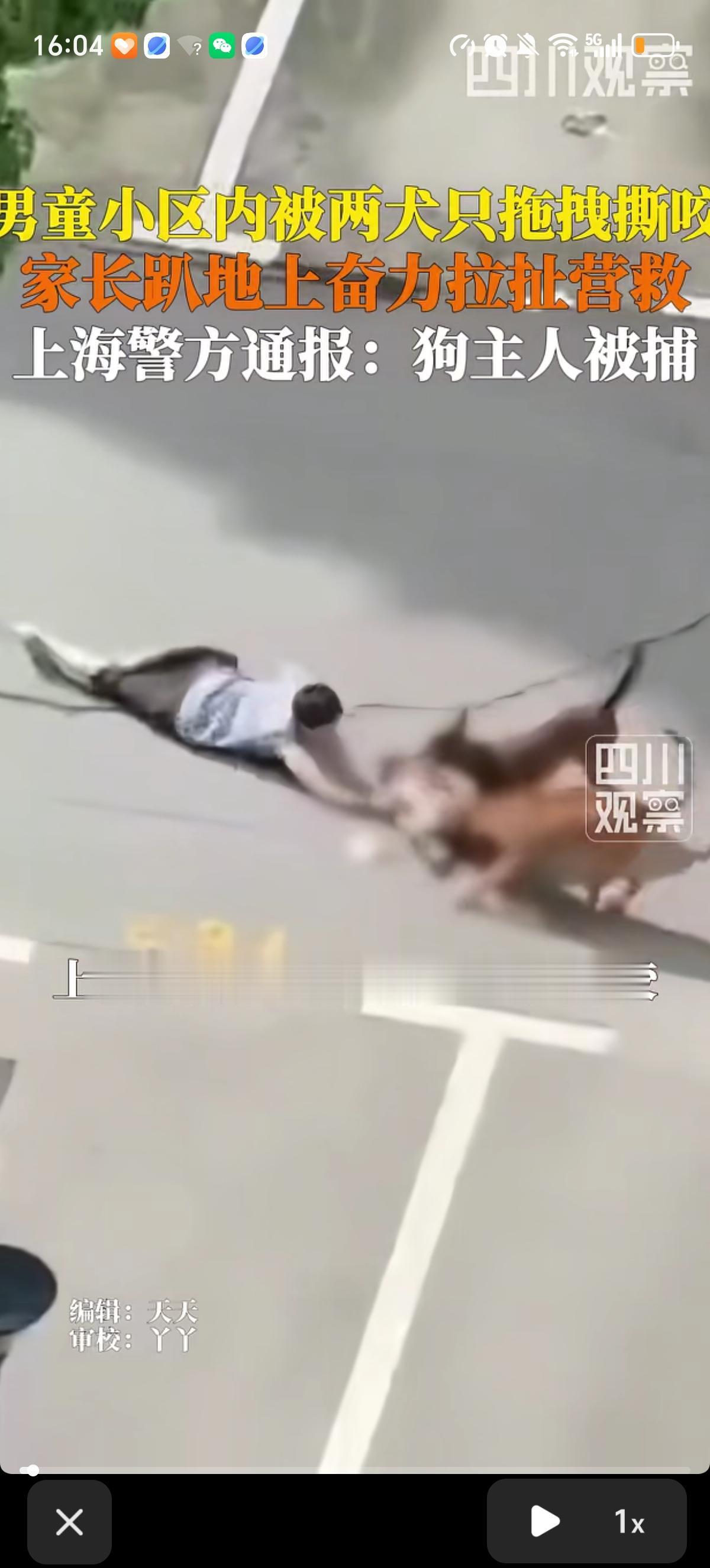 上海青浦区一居民小区内闯进来两只没栓绳的烈性大狗对着一个幼童疯狂撕咬，孩子的家长