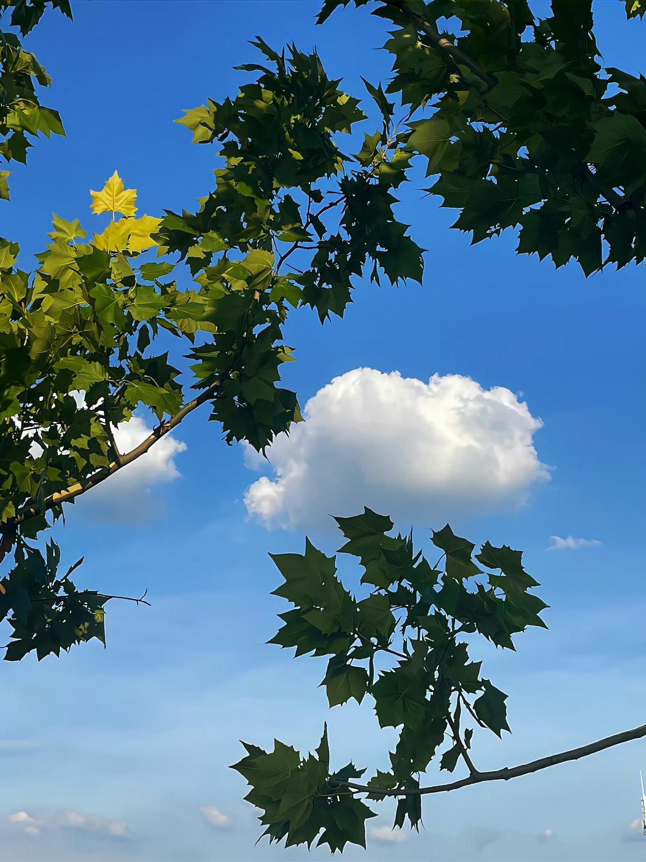 常有家长称无需送孩子去校外补课，他们认为如今网络资源极为丰富，这话没错。当下网络