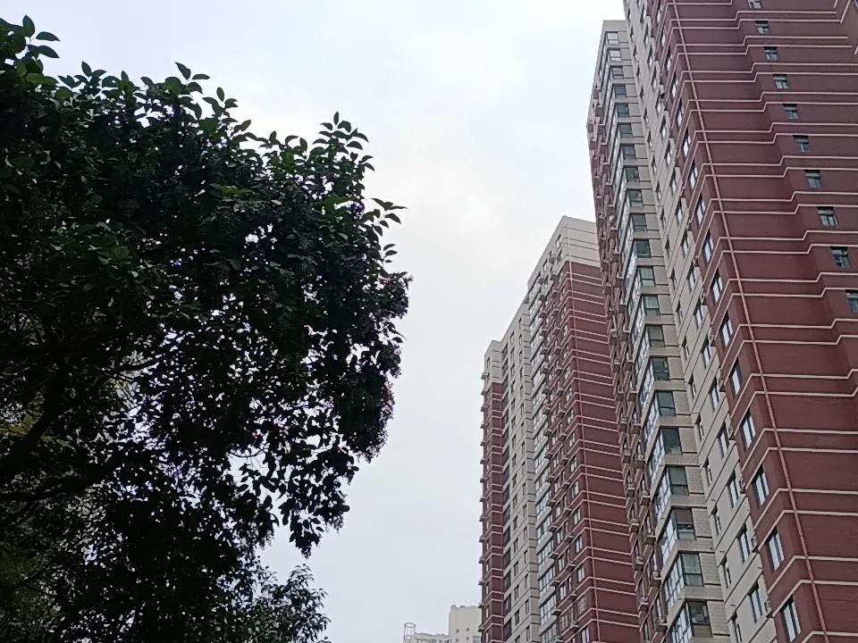 减持不休，散户不来。散户进来是打算赚钱的，可很多大股东都打算把公司卖给人家。