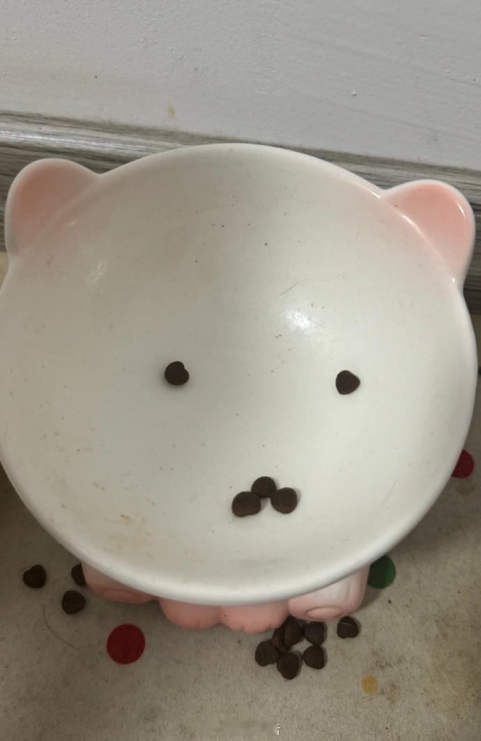 猫粮这样摆是什么意思🤔​​​
