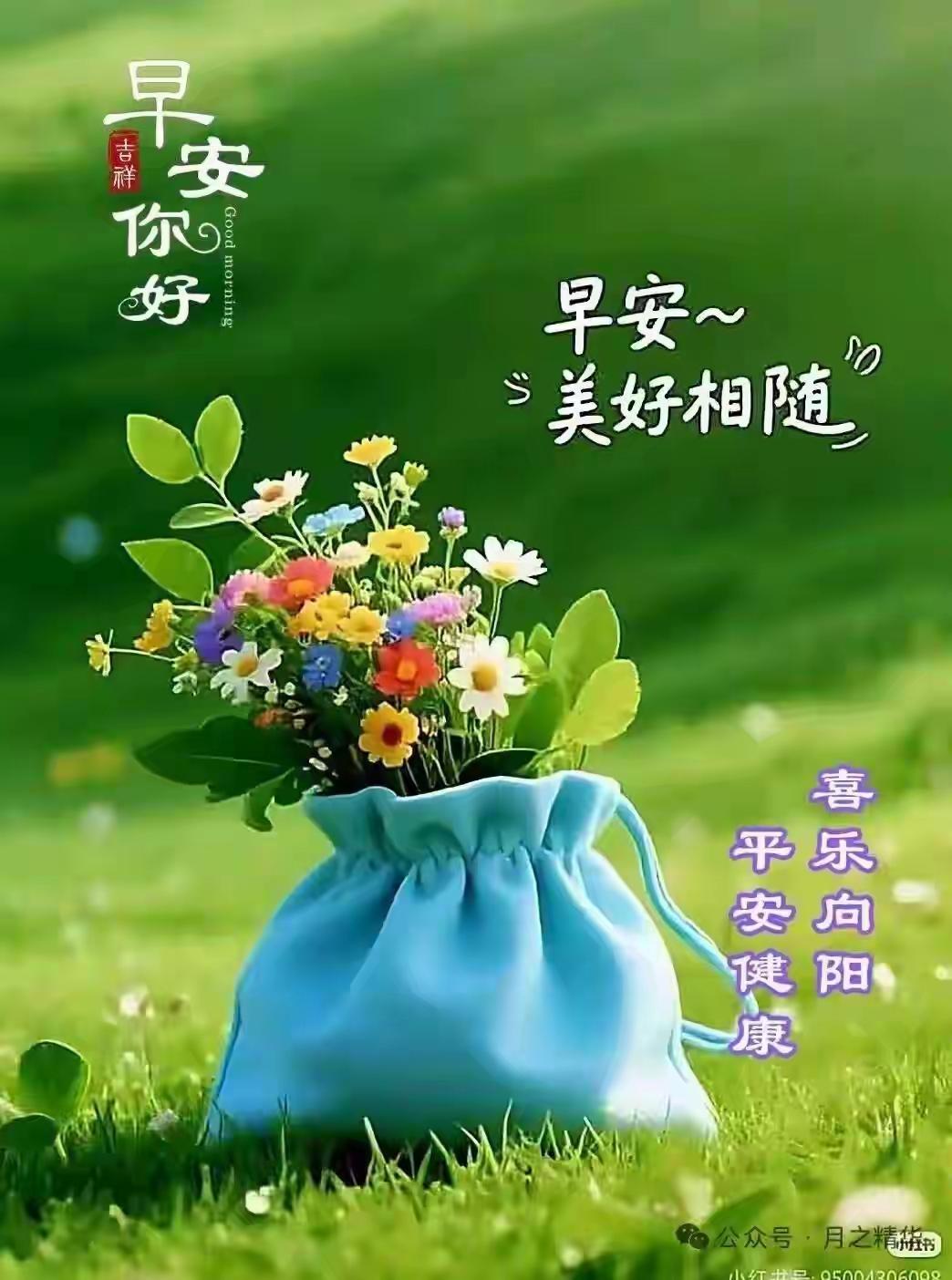 早安呀！晨光已至，新的一天带着美好悄然而至。就像新的一周开始，早起打卡的此刻满是