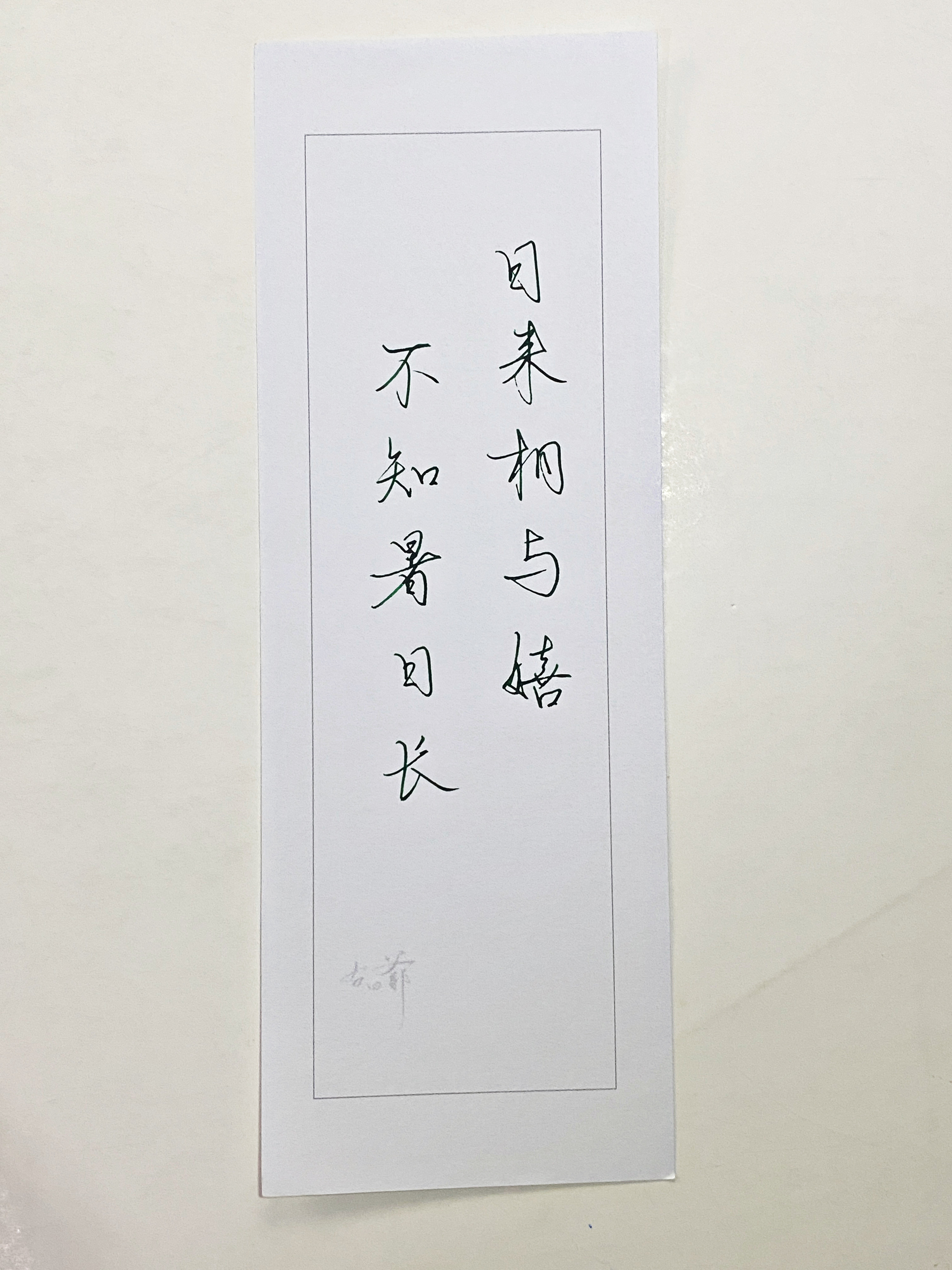 一起写写字不知暑日长​​​