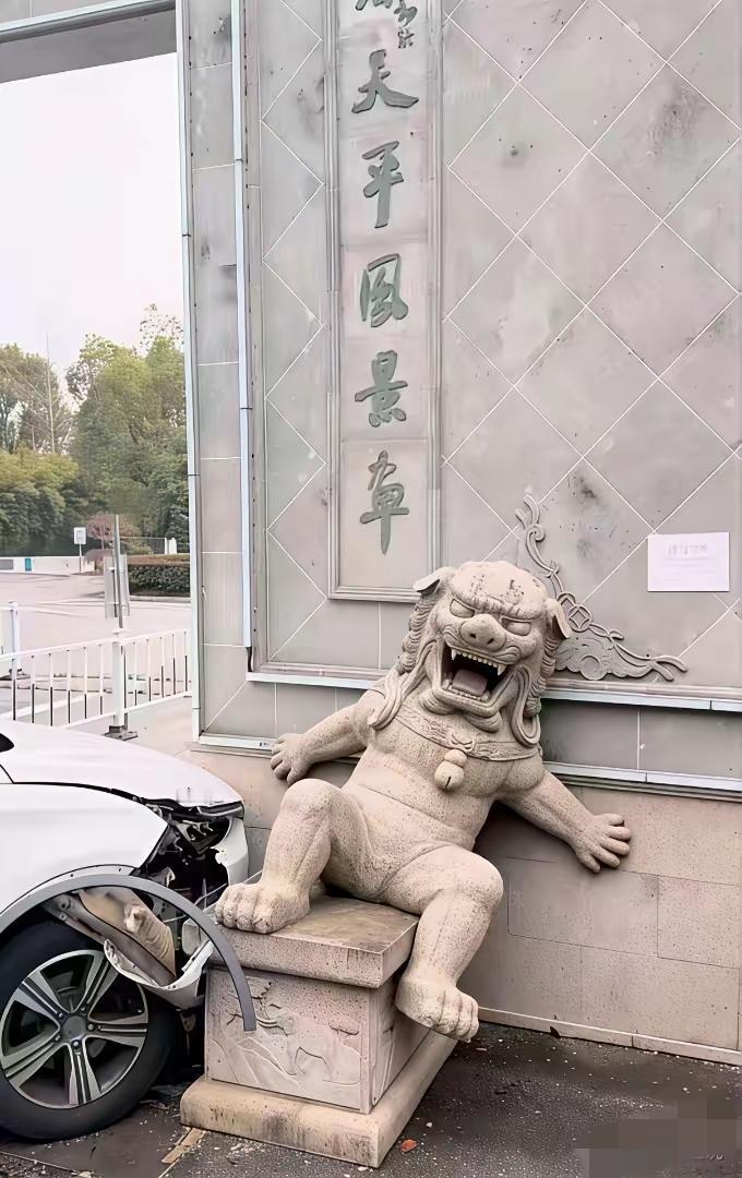 再厉害的镇宅神兽！也抵不住女司机的疯狂[赞]