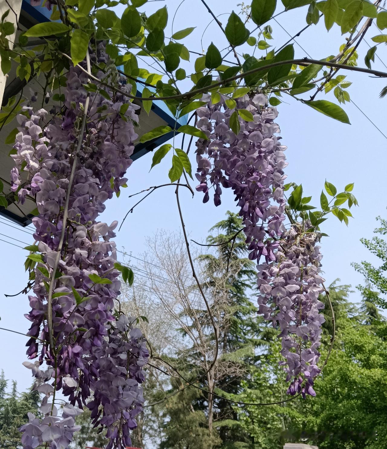 人性潜规则:1、如果你觉得男生非常体贴人，通常都有一个女人教过。2、越讨