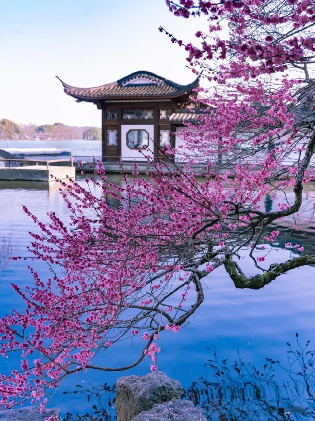 上联:云闲鹤影松间卧下联:月静梅香石上眠横批:悠然自得