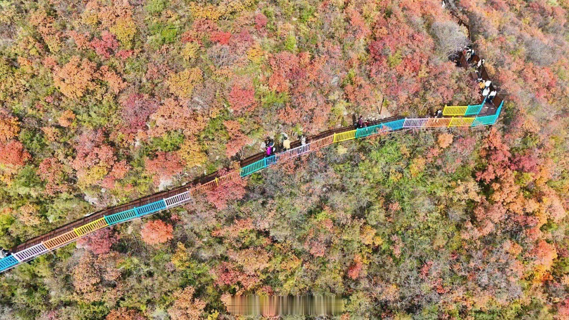 【窄门峡谷的彩练】我眼里的美丽焦作焦作中站区窄门峡谷，全长1300米的防腐木栈