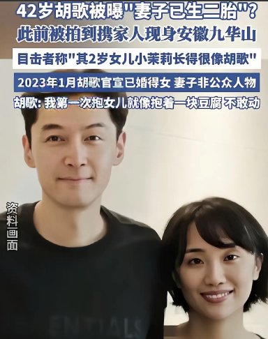 胡歌又被人送上热shou了不是演技！而是因为胡歌的老婆，竟然孩子都给他生两个