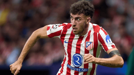 鲁杰里: 西蒙尼的要求很高, 刚来时我在防守方面遇到了困难