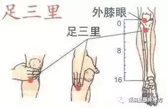 足三里穴的强大功能 你都知道吗?