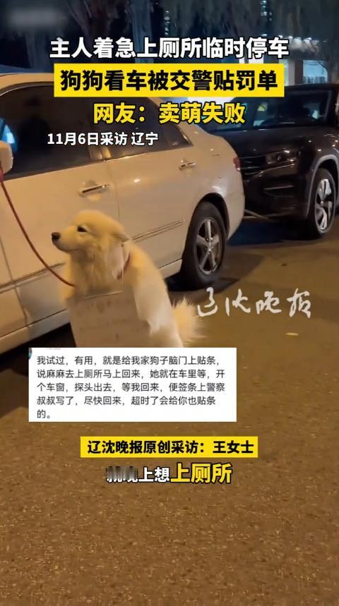 近日大连，一女子开车出门着急上厕所，就把车停在公共厕所旁，又担心被交警贴条，她就