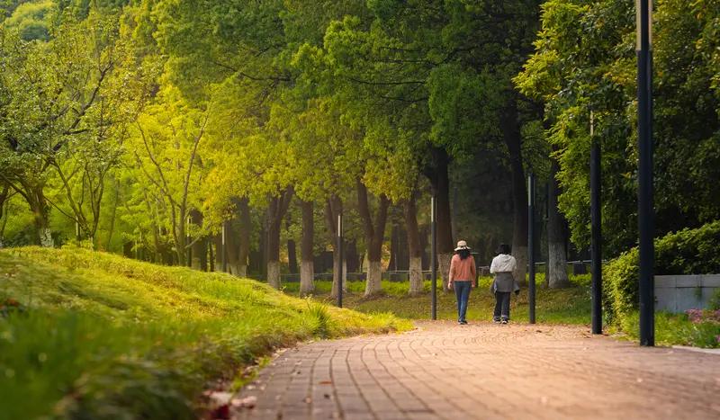 要是老人身体状况不错，没有严重的关节疾病、心血管疾病等，慢跑也是个不错的选择。慢