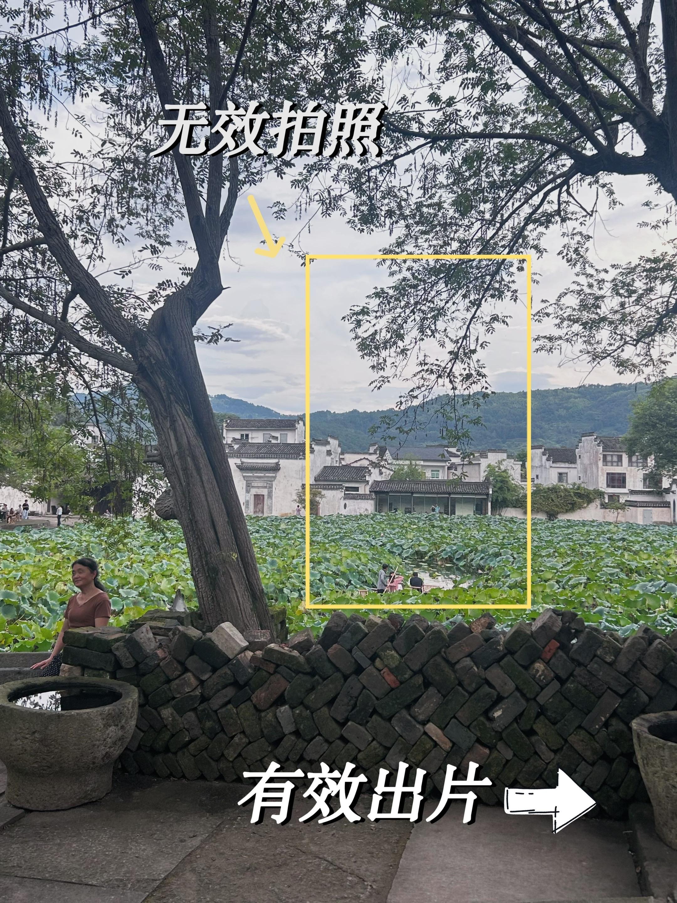 现实版莲花坞📷｜无效拍照vs有效片。构图tips：主要用到了下面这几...